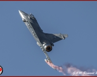 TSR Watermark - 0492